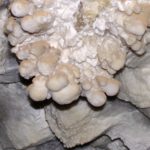 Chil-Ustun Caves Chil-Ustun Caves