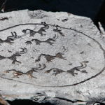 Saimaluu-Tash Petroglyphs