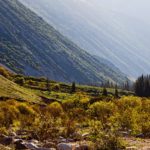 Григорьевское ущелье Григорьевское ущелье